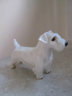 Buy Antique Nymphenburg Sealyham  Terrier C.1920 - Signed • 165£