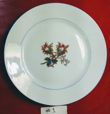 Buy Vintage HAVILAND & Co Limoges Hand-Painted Fine China Bread/Salad Plates 7.25  • 18.66£