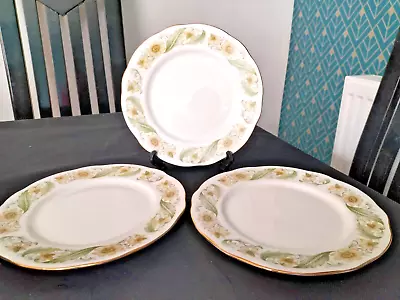 Buy Duchess Bone China Plates Greensleeves  Plates 8.5 Inches • 12.99£