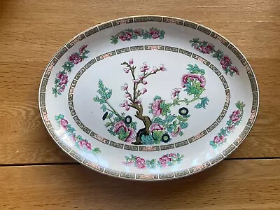 Buy John Maddock And Son S Royal Vitreous Indian Tree Oval Platter 30.5 Cm • 6.90£