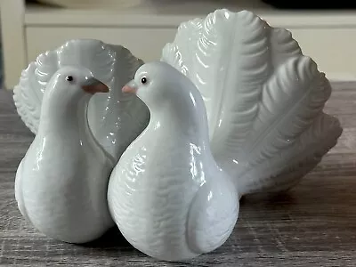 Buy Lladro Kissing White Doves • 55£