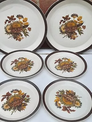 Buy Doverstone Staffordshire, Heather, Set Of 6 Plates, 2 Dinner +4 Side Plates, VGC • 14£