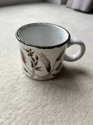 Buy Wedgwood Midwinter Stonehenge Wild Oats 3  8cm Tea Cup • 3£