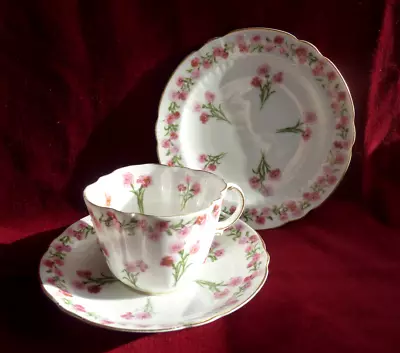 Buy Very Rare George Jones Trio Crescent China Queen’s Carnation Quatrefoil Cup    • 39.95£