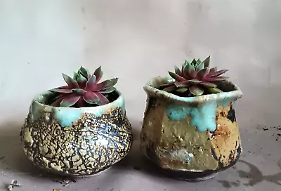 Buy Studio Pottery. ...Succulent Pots....Plant Pots. Cactus Pots... John Wright • 20£