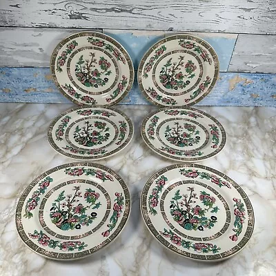 Buy Indian Tree Dinnerware - Side Plates, Lord Nelson X 6, 17.5 Cm • 15£