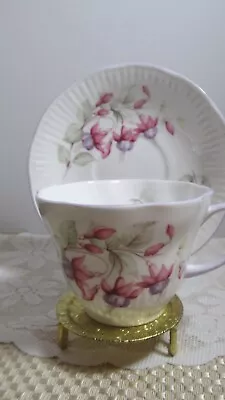 Buy Queens Fine Bone China Tea Cup And Saucer England Rosina China Co Fuchsia Flower • 12.44£