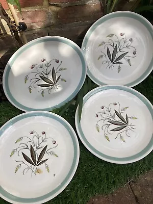 Buy Crown Goldendale Alfred Meakin. Hedgerow Plates 10inch . • 8£