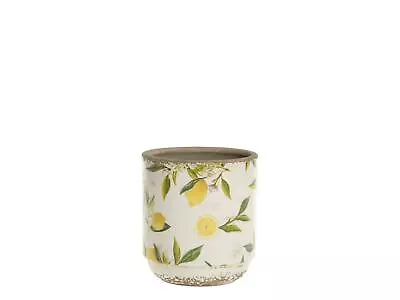 Buy Lemon Pattern Plant Pots, White Plant Pots, Succulent Plant Pots, Limone • 12£