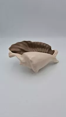 Buy Poole Pottery Twintone Shell. Mushroom Sepia Conch Shell. Vintage • 22.50£