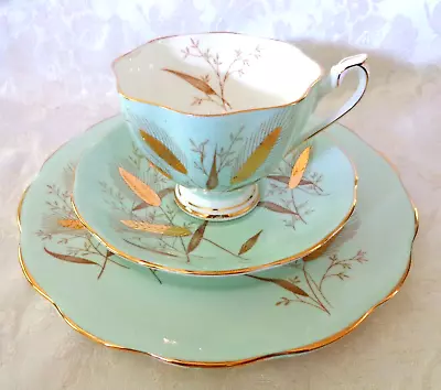 Buy Princess Anne Aqua Blue & Gold Wheat Tea Cup, Saucer & Luncheon Plate   England • 37.27£