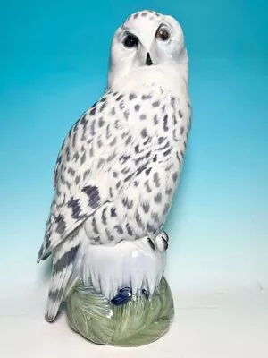 Buy Antique Royal Copenhagen Large Owl Made By Herda Figurine H 40cm Mint F/S • 1,343.53£