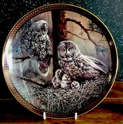 Buy The Bradford Exchange 1993 Ltd Edition ‘Great Gray Owl Family’ Plate By D.L.Rust • 8£