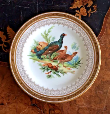 Buy Royal Cauldon Ltd. Fine China Decorative Side Plate - Pheasants • 20£