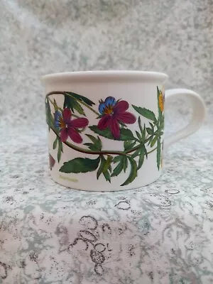 Buy Portmeirion Botanic Garden Viola Tricolor Heartsease Tea/Coffee Cup Drum Shaped • 5£
