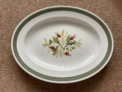 Buy Vintage Alfred Meakin Glo-white Serving Plate Greenwood Rosehip & Acorn Design • 16.95£