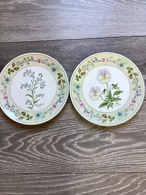 Buy Decorative Plates. Aynsley. Fine Bone China. • 10£