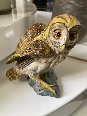 Buy Vintage Barn Owl Ceramic • 7£