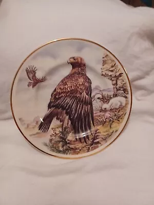 Buy Fenton China Golden EAGLE AND CHICKS Bone China Plate Staffordshire England. • 19£