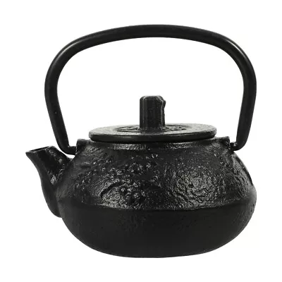 Buy  China Teapot Mini Black Kettle With Infuser Cast Iron Desktop • 10.98£