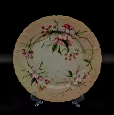 Buy 1902 Hand Painted Apple Blossoms Porcelain Edwardian Cabinet Plate Bavarian 8½  • 35.41£