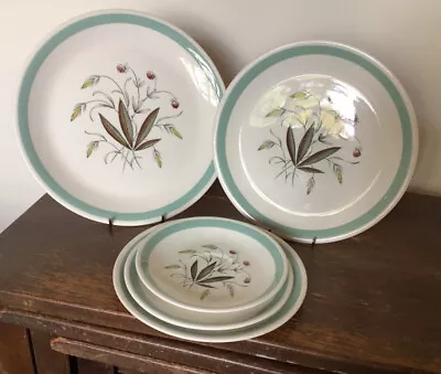 Buy Alfred Meakin. Hedgerow Various Plates And Saucers. • 4.99£