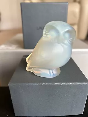 Buy LALIQUE - Opal Owl (1175900) Nyctal Boxed • 90£