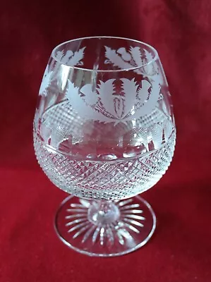 Buy Edinburgh Crystal Thistle Pattern - Large Brandy Glass • 55£