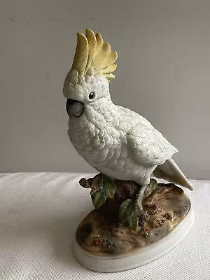 Buy Maruri Pottery Cockatoo Bird Figure,Cockatoo Bird Ornament • 18.50£