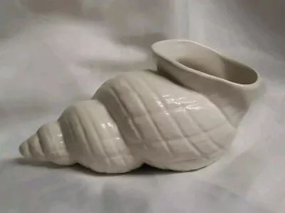 Buy Shorter & Son 7  Conch Shell Vase • 7£