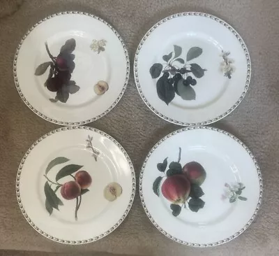 Buy Queen's Fine Bone China Royal Horticulture Soc.  Hookers Fruit  4 Dinner Plates • 23.25£