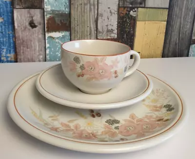 Buy Boots Hedge Rose Tea Cups & Saucer & Side Plate Ceramic White Floral Pattern  • 4.50£