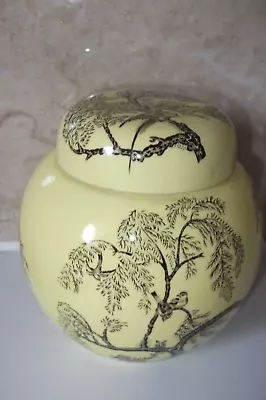Buy Masons China Yellow With Black Printed Birds -trees Ginger Jar Made For Twinings • 29.50£