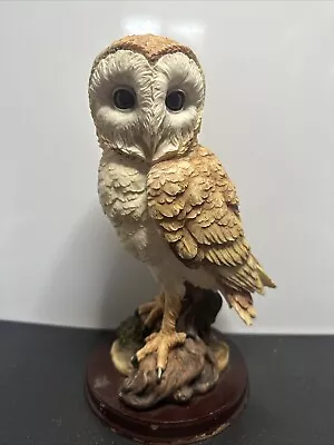 Buy Vintage Large Barn Owl By Leonardo Collection Ceramic Ornament With Wood Base  • 11.99£
