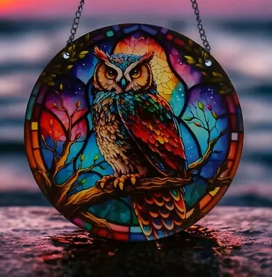Buy 15cm Wizard's Owl Acrylic Suncatcher Wall Hanging Fantasy Art Bird Picture Magic • 8.99£