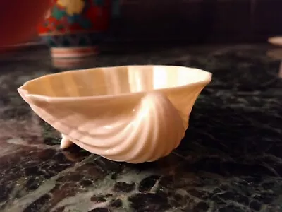 Buy 1940's Vintage Belleek Neptune White China Small Shell Shaped Dish • 24.99£