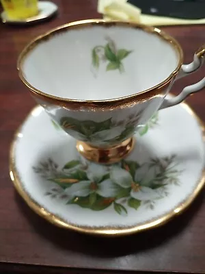 Buy Vintage Royal ADDERLEY Canadian Provincial Flowers  Trillium  Tea Cup W/Saucer  • 26.08£