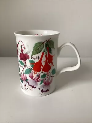 Buy Roy Kirkham Fine Bone China ‘Garden Flowers’ Mug / Cup Fuchsia Nasturtium 2001 • 9.95£