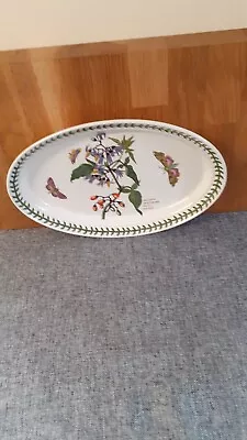 Buy Portmeirion Oval Platter Plate Woody Nightshade • 7£