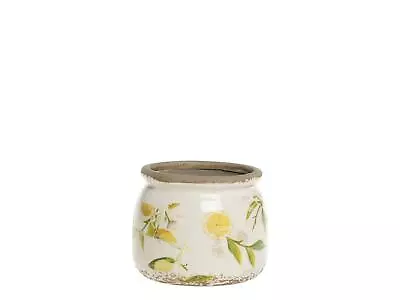 Buy Lemon Pattern Plant Pot, White Plant Pots, Succulent Plant Pots, Limone W/Lips • 11£
