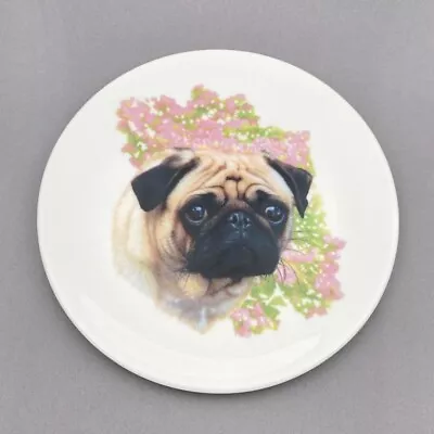Buy Pug 8” Collectors Plate English Fine Bone China • 3.45£