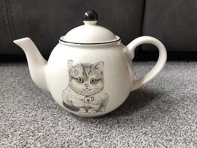 Buy Rare Arthur Wood Back To Front Grey Cat Ceramic Teapot • 5.99£