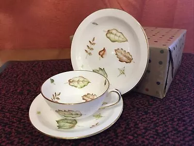 Buy Foley Bone China Teacup, Saucer And Side Plate - Autumn Frolic - Vintage. • 15£