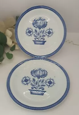 Buy Lovely Antique C1870s  Pair Of Ironstone Alfred Meakin Homespun Plates • 12£