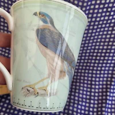 Buy Aynsley Ornithological Studies Audubon Large 10cm Mug • 6.99£