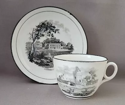 Buy New Hall Bat Printed Pattern 1063 Cup & Saucer 1 C1812-18 Pat Preller Collection • 20£