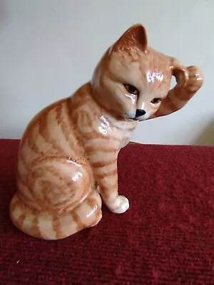 Buy Beswick Seated Ginger Cat Scratching Ear Model Number 1877  • 72.99£