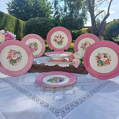 Buy Antique 19th C Copeland? Pink Botanical Part Dessert Service Hand Painted • 50£