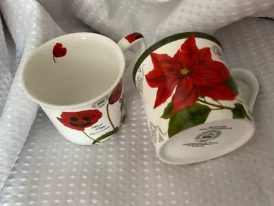 Buy 2 X Royal Botanic Gardens Kew Fine China Tea/Coffee Mug- Black Poppy & Pointsett • 9.99£