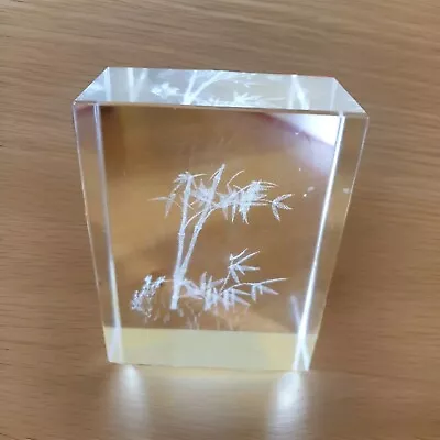 Buy Laser Etched Glass Paperweight 'Bamboo' Collectable Paperweight • 6.99£